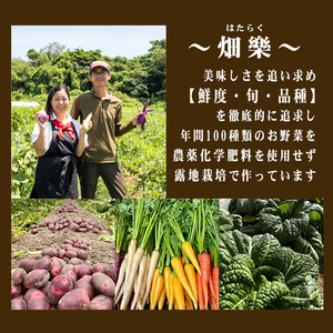 旬の野菜 セット 7～9品 野菜 【2025年5月以降順次発送】 下関 山口 IN001