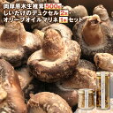 【ふるさと納税】 肉厚原木生椎茸500g しいたけのデュクセル2本 オリーブオイルマリネ1本 セット 詰め合わせ 椎茸 きのこ ソース バゲット パスタ リゾット スープ 送料無料