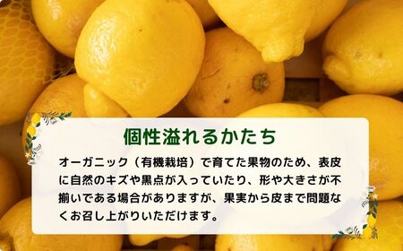 [1～2月発送] 瀬戸内オーガニックレモン 約1kg(8～12個程度) 有機JAS認証 国産 せとうち 広島 大崎上島 離島 有機栽培 柑橘 果物 オーガニック フルーツ ギフト 防腐剤不使用 ワック