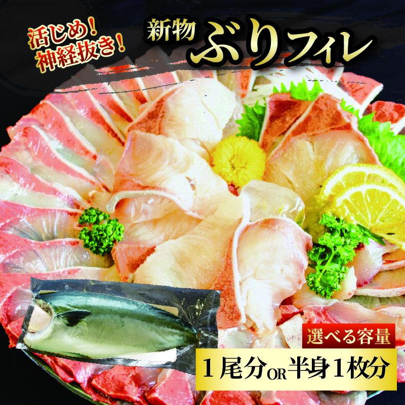 【ふるさと納税】 ぶりフィレ 半身1枚 / 一尾 | ぶり ブリ 鰤 魚 鮮魚 刺身 活じめ 神経抜き 愛媛県 松山市