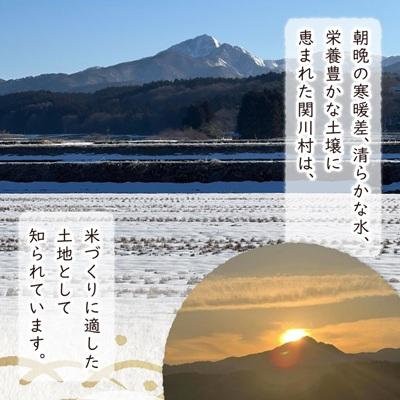 ふるさと納税 関川村 炊きたてつやつや R7年産 新潟関川村産 岩船米こしひかり 精米5kg [星山米店] |  | 01