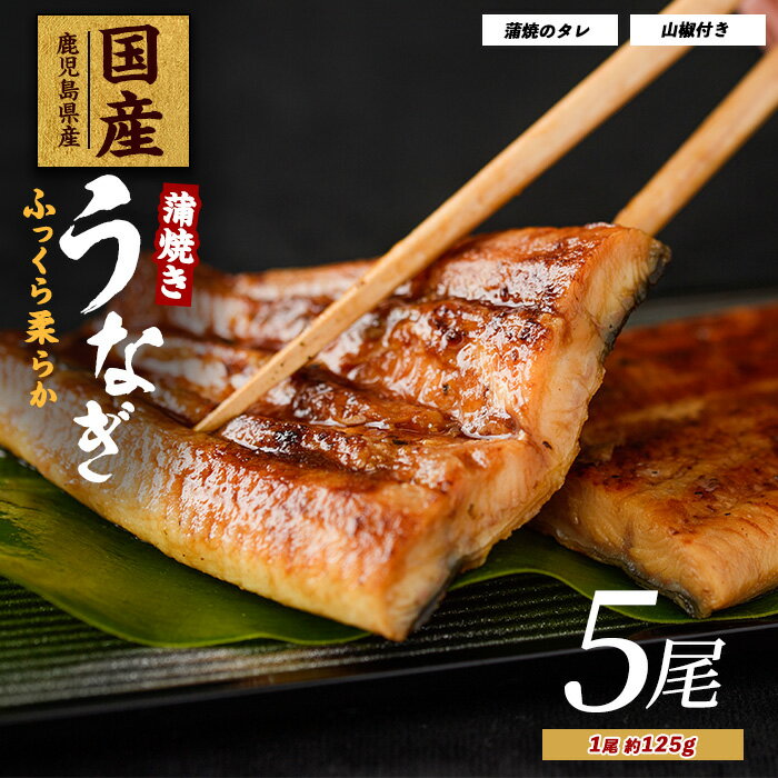 【ふるさと納税】【鹿児島県産】 うなぎ蒲焼じっくり焼き約125g×5尾 化粧箱入り 鰻 ウナギ 蒲焼 国産 丑の日 うな重 無頭 ギフト プレゼント 贈り物 贈答 惣菜 総菜 小分け レンジ 簡単 蒲焼き 冷凍 鹿児島県産【大新】