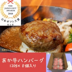 あか牛ハンバーグ　120g×8個入り(大津町)