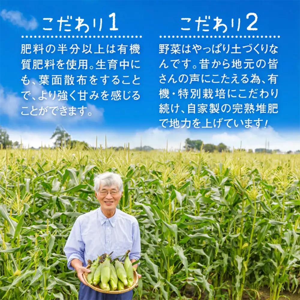 【北海道恵庭市産】朝どりスイートコーン×10本【310024】