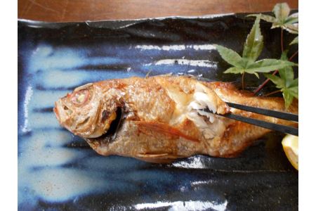 低温技術で瞬間冷凍～いつでも獲れたての味～『山陰・日本海産のどぐろ4尾』下処理済 塩焼き、煮つけ、蒸し物用 魚介類 魚貝類 魚 のどぐろ 冷凍 下処理済み 【165_1458】