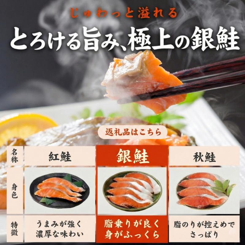 訳あり 銀鮭 切り身 1.5kg 冷凍 切身 サイズ 不揃い 規格外 鮭 サケ シャケ 塩銀鮭 人気の海鮮返礼品 カマ サーモン 魚 家庭用 おかず 【北海道･沖縄･東北･離島への配送不可】 【1月