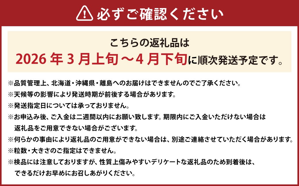 春のあまおう（2L・2A・G規格以上 6パック）【数量限定】