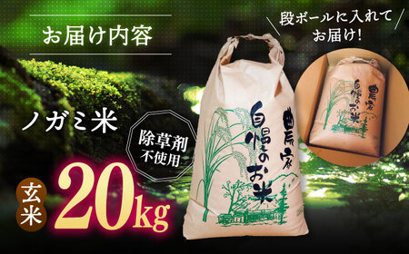 弥山岳の岩清水で育ったノガミファームのお米 玄米20kg(5kg×4袋） 桂川町/NOGAMI FARM[ADAU012]