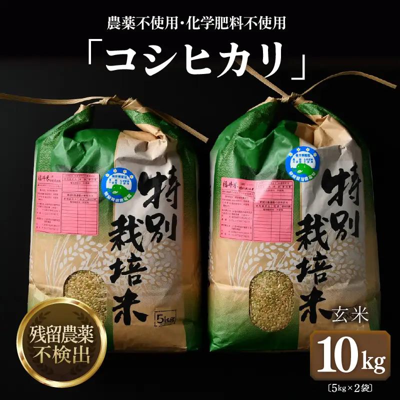 【先行予約】【令和8年産 新米】コシヒカリ 玄米 5kg×2袋（計10kg） 特別栽培米 農薬不使用 化学肥料不使用 ／ 残留農薬ゼロ 高品質 鮮度抜群 福井県産 ブランド米 ※2026年9月下旬より順次発送予定 [aw063-c008]