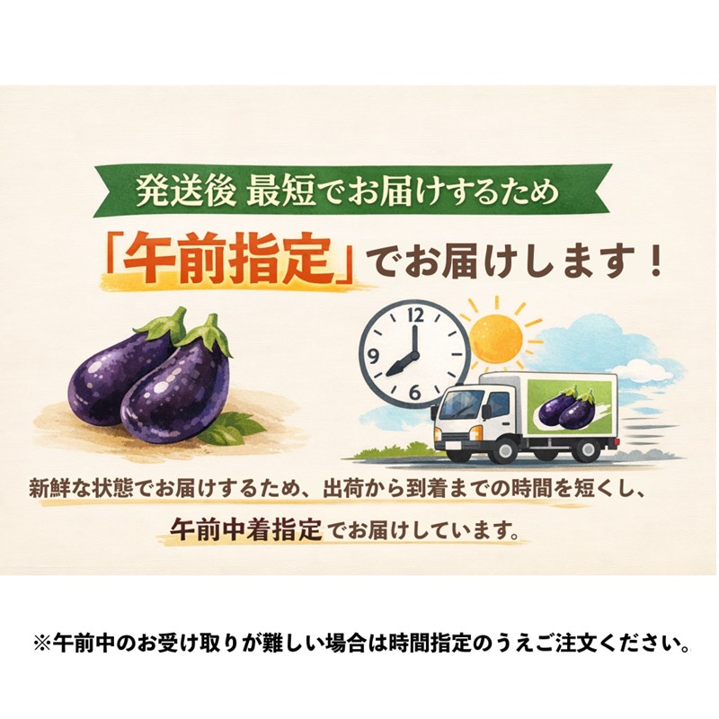 まるやま農園 泉州水なす ぬか漬け 4個入 6ヶ月定期便【087B-002】