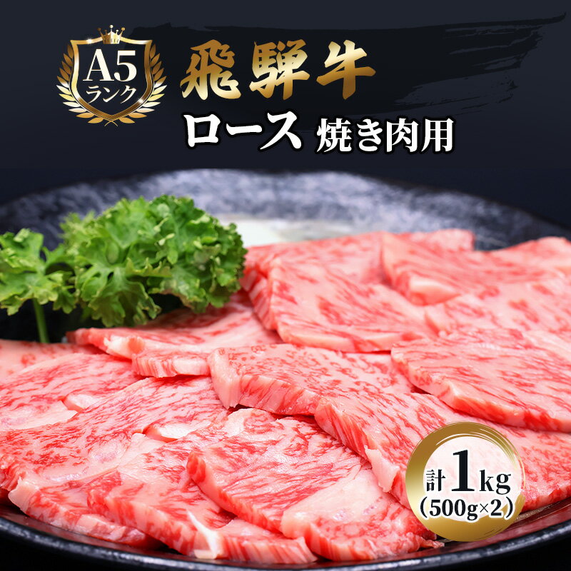【ふるさと納税】ふるさと納税　飛騨牛 牛肉 焼肉 ロース 500g×2 計1kg A5 和牛 　お届け：※12/13～1/10は出荷できませんのご注意ください。