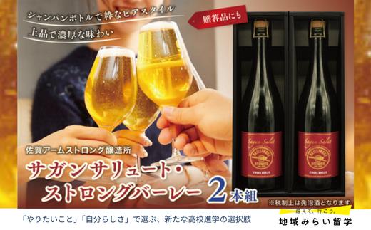 
            【佐賀アームストロング醸造所】サガンサリュート・ストロングバーレー2本組
          