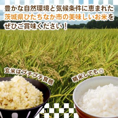 ふるさと納税 ひたちなか市 【先行予約・9月以降順次発送】新米　令和7年　ひたちなか市産　コシヒカリ(玄米)10kg×1袋 |  | 02
