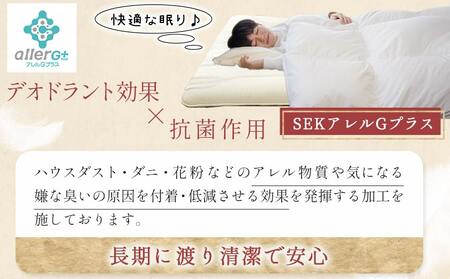 抗ウイルス加工羽毛掛ふとん ポーランド産ホワイトダック93%【SD】≪みやこんじょ快速便≫_117-E102-R_(都城市) 羽毛布団 寝具 抗菌防臭加工 ダウン SEKアレルGプラス加工 日本製 掛