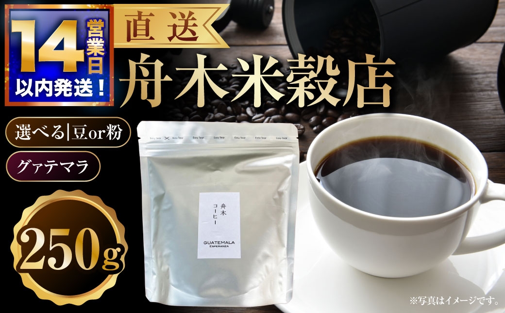 
                  【 選べる種類 】 【14営業日以内に発送】【直送】 舟木米穀店 グァテマラ 250g （ 豆 ・ 粉 ） コーヒー 珈琲 COFFEE coffee コーヒー豆 コーヒー粉 スペシャルティコーヒー 自家焙煎 焙煎
                