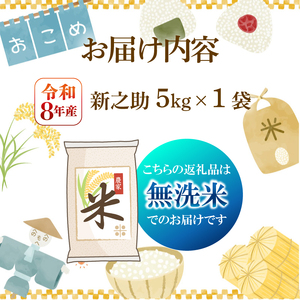 【先行予約】令和8年産 無洗米 新之助 5kg 新之助 kwsMSS