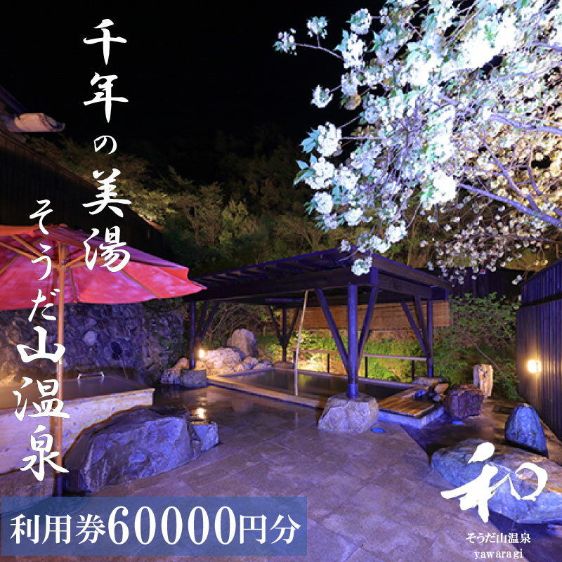 【ふるさと納税】 宿泊 券 60,000円分 温泉 ギフト チケット 千年の美湯 そうだ山温泉 旅館 宿泊券 温泉 温泉旅館 トラベルクーポン トラベル 人気 おすすめ 温泉券 高知県 須崎市