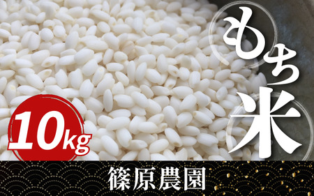 米 もち米 令和7年産 新米 10kg もちみのり こめ ご飯 ごはん 【 お米 】