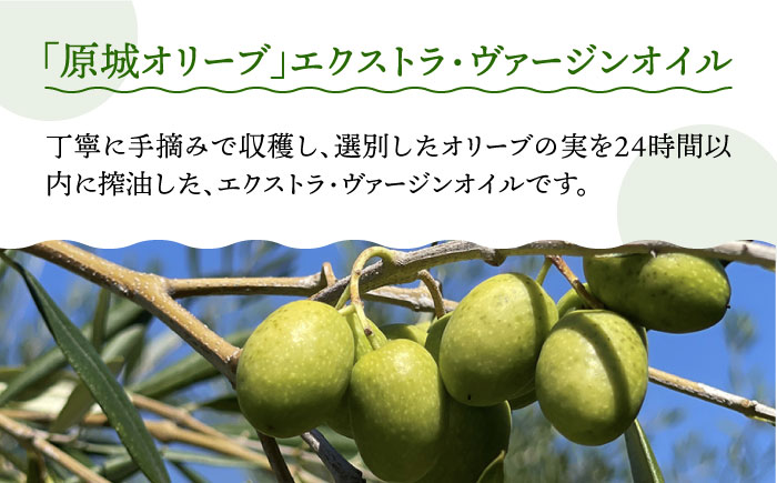 【2024年11月〜発送】【12回定期便】原城オリーブ エクストラヴァージン オイル 100ml 2本 / 調味料 油 オリーブオイル オリーブ / 南島原市 / ミナサポ [SCW051]