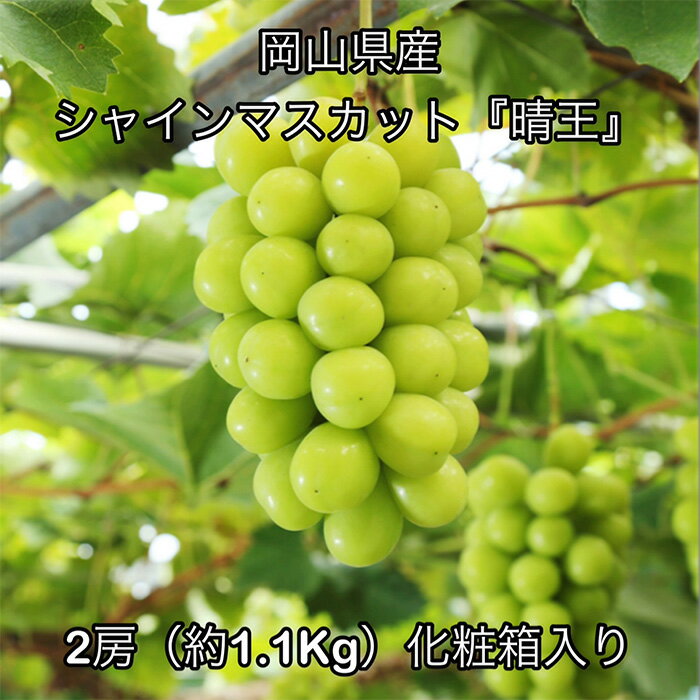 【ふるさと納税】岡山県産 ぶどう 葡萄 ブドウ 種無しぶどう シャインマスカット 晴王 果物 スイーツ フルーツ お取り寄せ ギフト 贈答用 デザート 旬 シャインマスカット「晴王」2房（約1.1kg）化粧箱入り 岡山県産