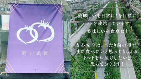 ぜいたくトマト！約2kg ( 9個～12個 ) トマト 大玉トマト 新鮮 美味しい 野菜