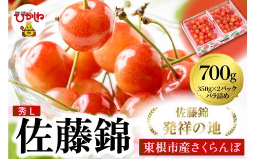 2026年 東根産さくらんぼ「佐藤錦」700gバラ詰め(350g×2ﾊﾟｯｸ) 秀品 Lサイズ 東根農産センター提供 山形県 東根市 hi027-218
