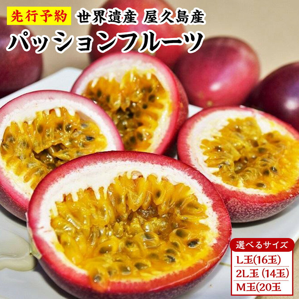 【ふるさと納税】絶品パッションフルーツ M玉(20玉)～2L玉(14玉)【容量が選べる】【2027年発送先行受付】“屋久島の恵み”と“愛情”込めて！ | 鹿児島 屋久島 屋久島町 ふるさと 納税 お取り寄せ ご当地 フルーツ 果物 くだもの
