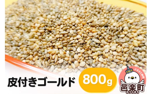 皮付きゴールド 800g×1袋 サイトウ・コーポレーション 飼料