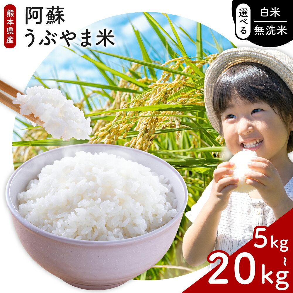 【ふるさと納税】無洗米 白米 阿蘇うぶやま米 選べる 5kg 10kg 15kg 20kg 《60日以内に出荷予定(土日祝除く)》食品 米 こめ コメ 熊本県産 ふるさと納税 お米 おこめ 熊本 むせんまい 定期便