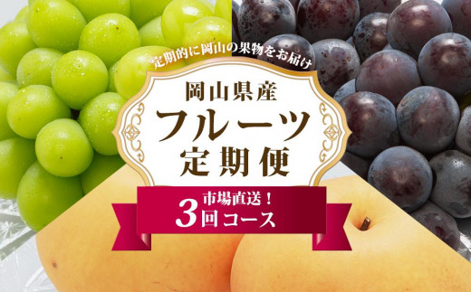 ぶどう 梨 定期便 2026年 フルーツ王国 岡山を堪能 定期便 3回コース 葡萄 ぶどう 梨 なし 岡山県産 国産 果物 セット ギフト
