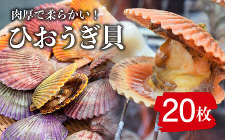 ひおうぎ貝 20枚 《 対馬市 》【 うえはら株式会社 】 新鮮 肉厚 海産物 対馬産 貝 BBQ 冷凍 疲労回復 特産品 ビタミン[WAI085] コダワリ貝 こだわり貝 おすすめ貝 おススメ貝 人