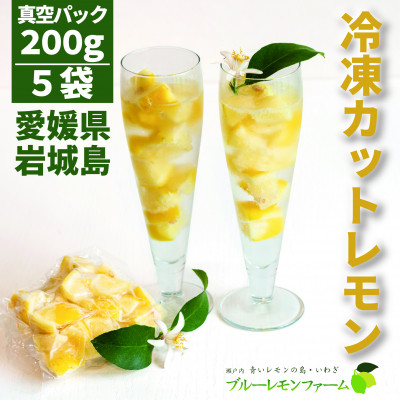 瀬戸内産 カットレモン冷凍　200g×5パック【冷凍便】数量限定【配送不可地域：離島】