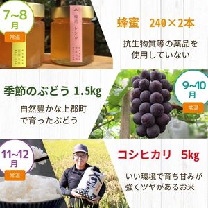 【 定期便 6回 】 兵庫県 決定版 | 定期便 神戸牛 切り落とし ランプ ステーキ 焼肉セット はちみつ ぶどう コシヒカリ 兵庫県 上郡町