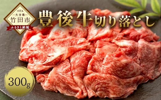 
大分県竹田産 おおいた和牛 切り落とし 【300g】
