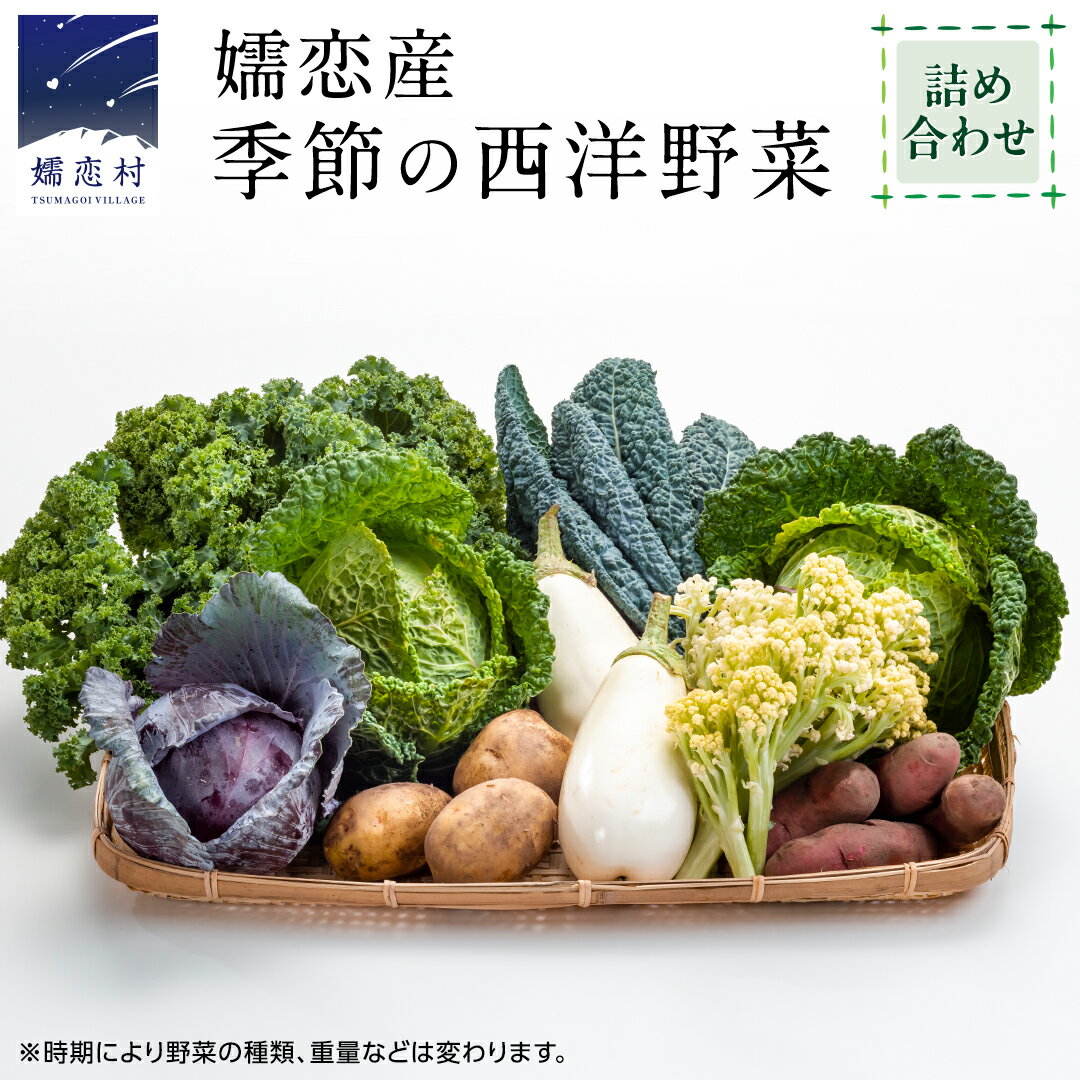 【ふるさと納税】 ≪ レビューキャンペーン ≫ 【8月上旬以降発送開始】 嬬恋産 季節の 西洋野菜 詰め合わせ 先行予約 2025年発送 産地直送 野菜 野菜セット 旬の野菜 新鮮 おまかせ 季節の野菜 農家直送