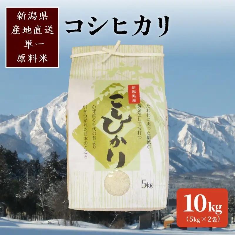 コシヒカリ 棚田米 精米 10kg 上越産 コシヒカリ