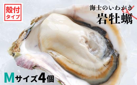 
【のし付き いわがき 殻付きMサイズ 4個】岩牡蠣 生食可 冷凍 牡蛎 牡蠣 かき カキ 岩牡蠣 いわがき 冷凍 父の日 母の日 バーベキュー ギフト
