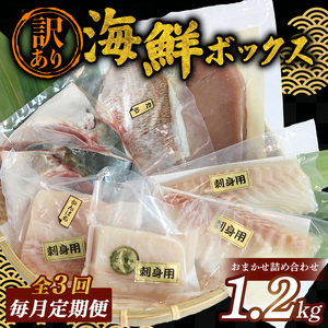 毎月定期便 訳あり 海鮮 ボックス 1.2kg セット 毎月 全3回 冷凍 真空パック おまかせ マグロ まぐろ 鮪 生まぐろ 鯛 たい かんぱち 勘八 シマアジ ヒラマサ 平昌 新鮮 魚 魚介 海鮮 海産物 海 特産品 海の幸 産地直送 国産 三重県 南伊勢 伊勢 志摩 城水産 