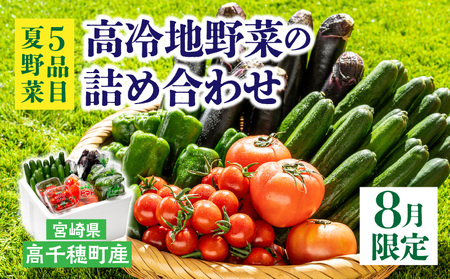 C-8 高冷地野菜の詰め合わせ【8月限定】