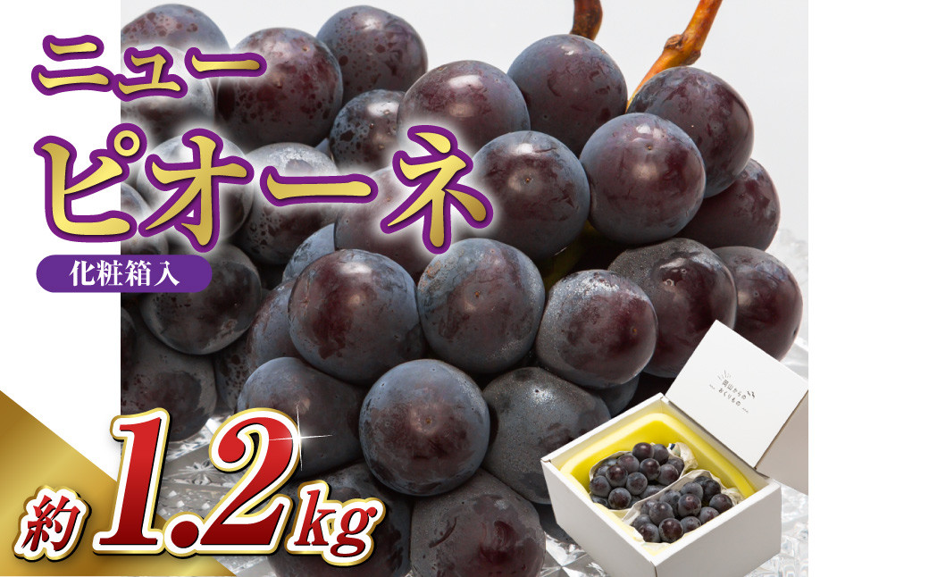 
            【先行予約】岡山県産 ニューピオーネ 2房（1房600g以上）化粧箱入り【2025年8月下旬-10月上旬 発送予定】【ニューピオーネ ぶどう 果物 フルーツ 国産 人気 おすすめ 岡山県 倉敷市】
          