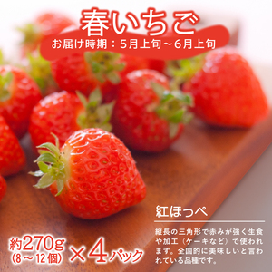 SE0208　【3回定期便】農家直送 旬のフルーツ定期便2024 (いちご、庄内メロン、いちじく)