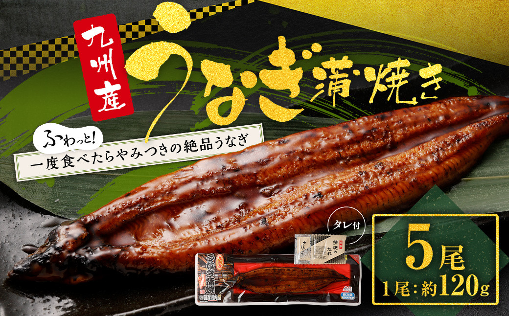 九州産うなぎ蒲焼き 5尾 合計約600g(約120g×5尾) タレ付