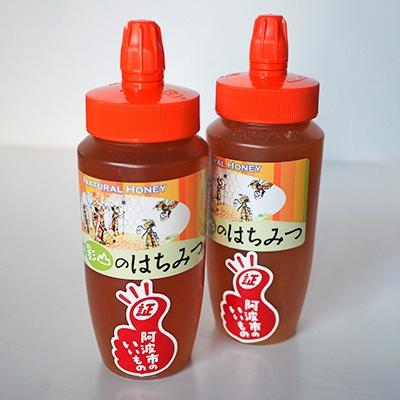 ふるさと納税 阿波市 【阿波産】”天然”影山のはちみつ チューブタイプ500g×2本