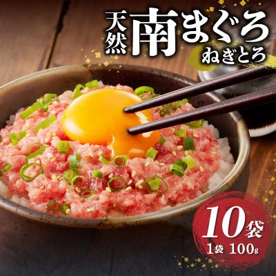 ふるさと納税 焼津市 天然南まぐろ 100%使用 ねぎとろ 1Kg(100g×10袋) ネギトロ(a12-251) |  | 01