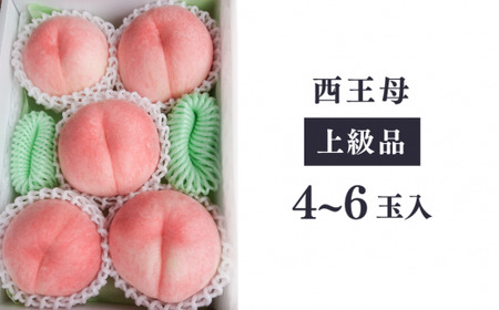 【きよとうファーム】西王母（上級品）4-6玉入 (岡山県産)【KF-A011-01】