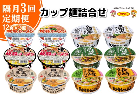 【隔月定期便】カップ麺詰め合わせ 12食入1ケース【サンポー サンポー食品 カップ麺 カップラーメン 焼豚ラーメン ラーメン うどん 麺】B8-A001302