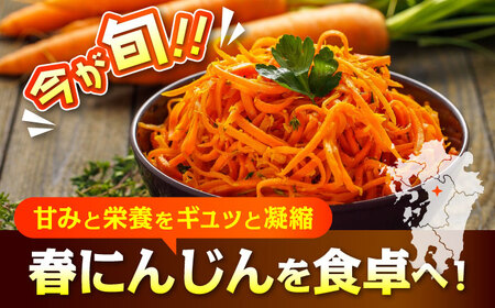 【4月中旬より順次発送予定】【数量限定】菊陽町の春にんじん 約10kg【有限会社さんふれあ】[BHAK004]