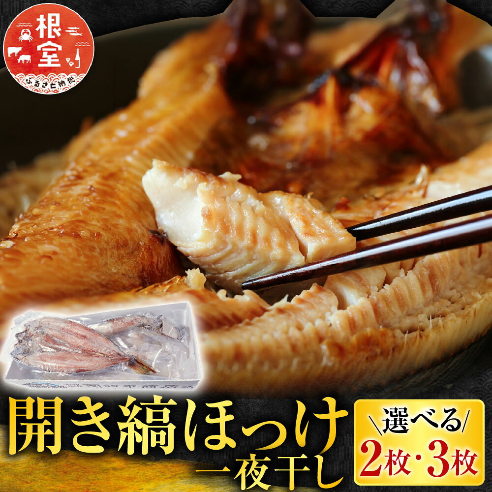 【ふるさと納税】 開き縞ほっけ一夜干し 選べる 2 枚 3 枚 ホッケ 魚 さかな サカナ お取り寄せ グルメ 海鮮 一夜干 干物 熟成 北海道 根室市 ふるさと納税