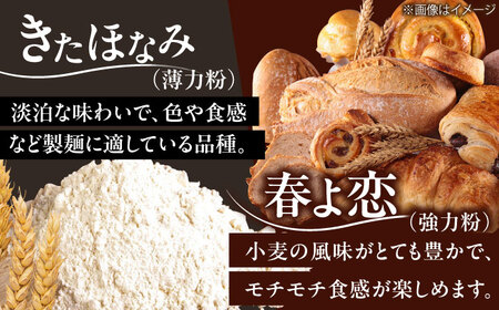 特製 手づくりおふくろみそ ふるさと詰め合わせセット 味噌 北海道 大豆 手作り [AXAB039]