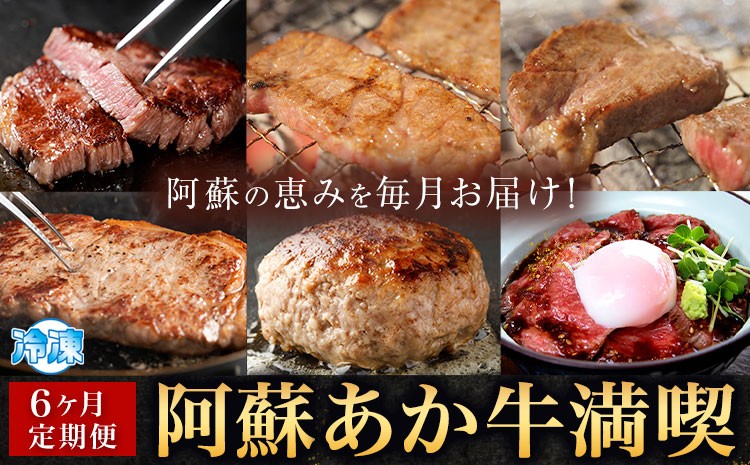 
                  【6ヶ月定期便】阿蘇あか牛満喫セット 株式会社LARKS《お申込み月の翌月から出荷開始》肉 牛肉 あか牛 ローストビーフ ハンバーグ 冷凍 名物 熊本県 毎月届く 送料無料
                